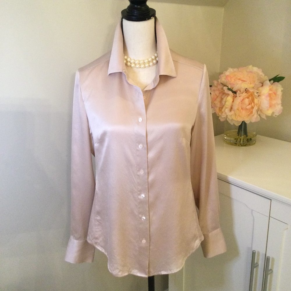 Pure Collection, Pale Pink Washed Silk Long Sleeve Blouse, Size 8/10